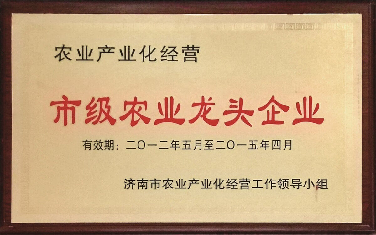 市级农业龙头企业